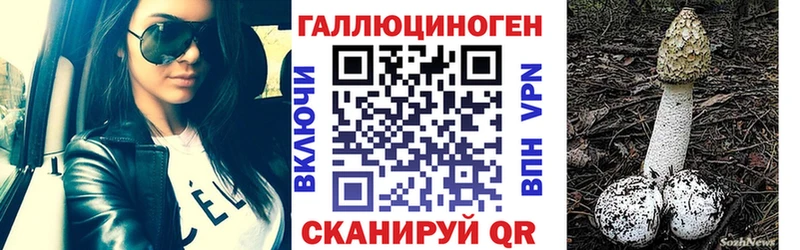 Галлюциногенные грибы Psilocybine cubensis  Новосибирск 